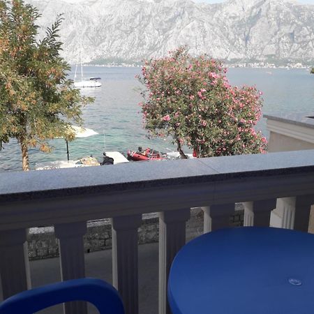 Apartmants Alexander Leilighet Kotor Eksteriør bilde